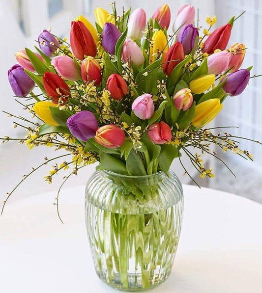 Mixed tulips in a vase